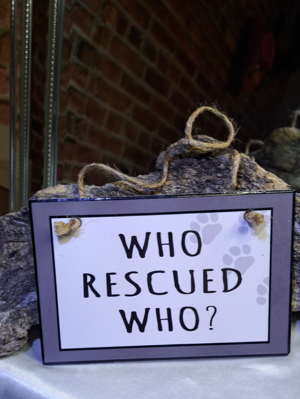 Animal RESCUE